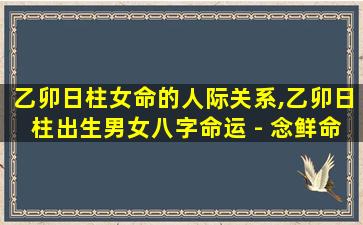 乙卯日柱女命的人际关系,乙卯日柱出生男女八字命运 - 念鲜命 🐕 理